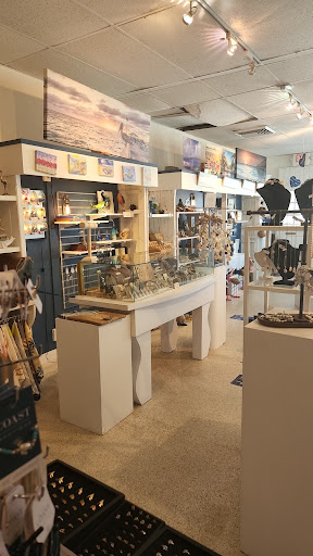 Boutique «Coast Boutique», reviews and photos, 229 Commercial Blvd, Lauderdale-By-The-Sea, FL 33308, USA