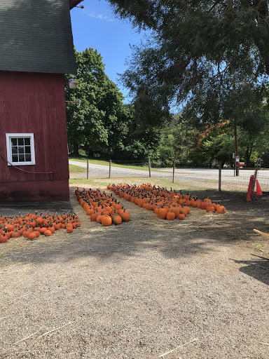 Produce Market «Parks Farms», reviews and photos, 525 NJ-24, Chester, NJ 07930, USA