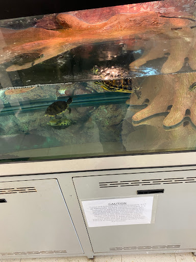 Pet Supply Store «Petco Animal Supplies», reviews and photos, 848 N Colony Rd c, Wallingford, CT 06492, USA