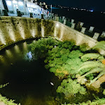 Photo n°12 de l'avis de Salvatore.a fait le 15/08/2023 à 16:52 sur le  Hotel Fontane Bianche Beach Resort à Fontane Bianche