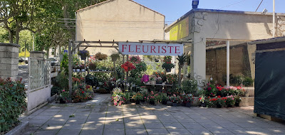 Bois de Roses à Saint-Hippolyte-du-Fort