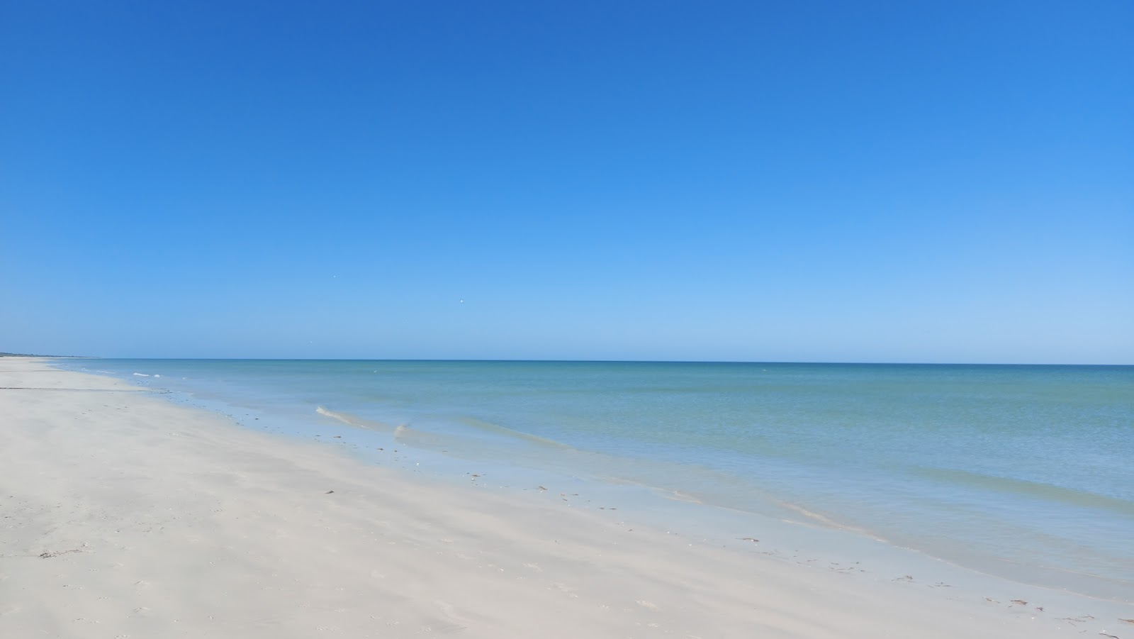 Foto von La Playita Sabancuy befindet sich in natürlicher umgebung