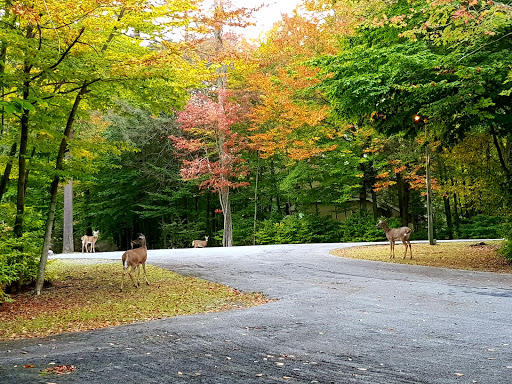 Golf Club «PineCrest Lake Golf Club», reviews and photos, 679 Pinecrest Dr, Pocono Pines, PA 18334, USA