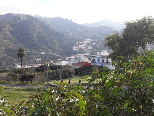 Información y opiniones sobre Restaurante Grill El Pesebre de Teror