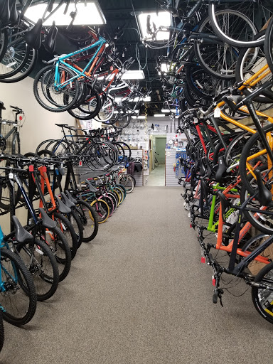 Bicycle Repair Shop «Gemini Ski & Board Center», reviews and photos, 4936 Everhard Rd NW, Canton, OH 44718, USA