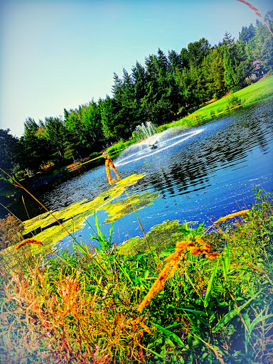 Golf Course «Willows Run Golf Complex», reviews and photos, 10402 Willows Rd, Redmond, WA 98052, USA