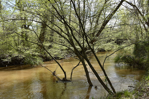 Park «Big Creek Park», reviews and photos, 1600 Old Alabama Rd, Roswell, GA 30076, USA