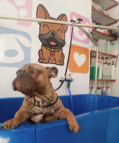 Peluquería canina Huelva wauu - Servicios para mascota en Huelva