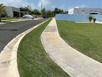 GreenWorks Exterminating & Landscaping - Photo 2 - Car repair in , Aguadilla