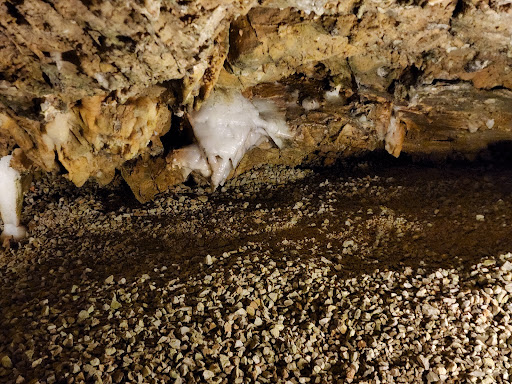 Nature Preserve «Crystal Cave», reviews and photos, 963 Crystal Cave Rd, Kutztown, PA 19530, USA