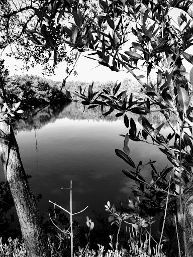 Golf Course «River Run Golf Links», reviews and photos, 1801 27th St E, Bradenton, FL 34208, USA