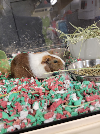 Pet Supply Store «PetSmart», reviews and photos, 187 Millburn Ave, Millburn, NJ 07041, USA