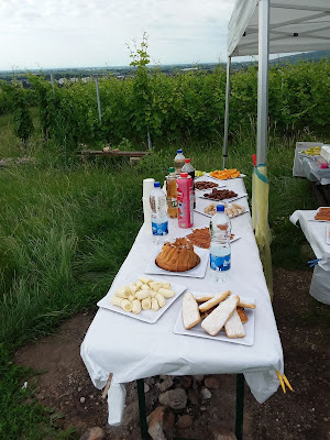 Marathon Des Vignobles aujourd'hui À Molsheim à Barr
