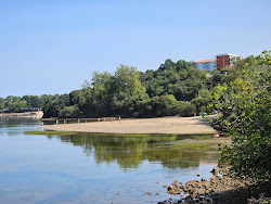 Foto von Playa del Tostadero umgeben von Bergen