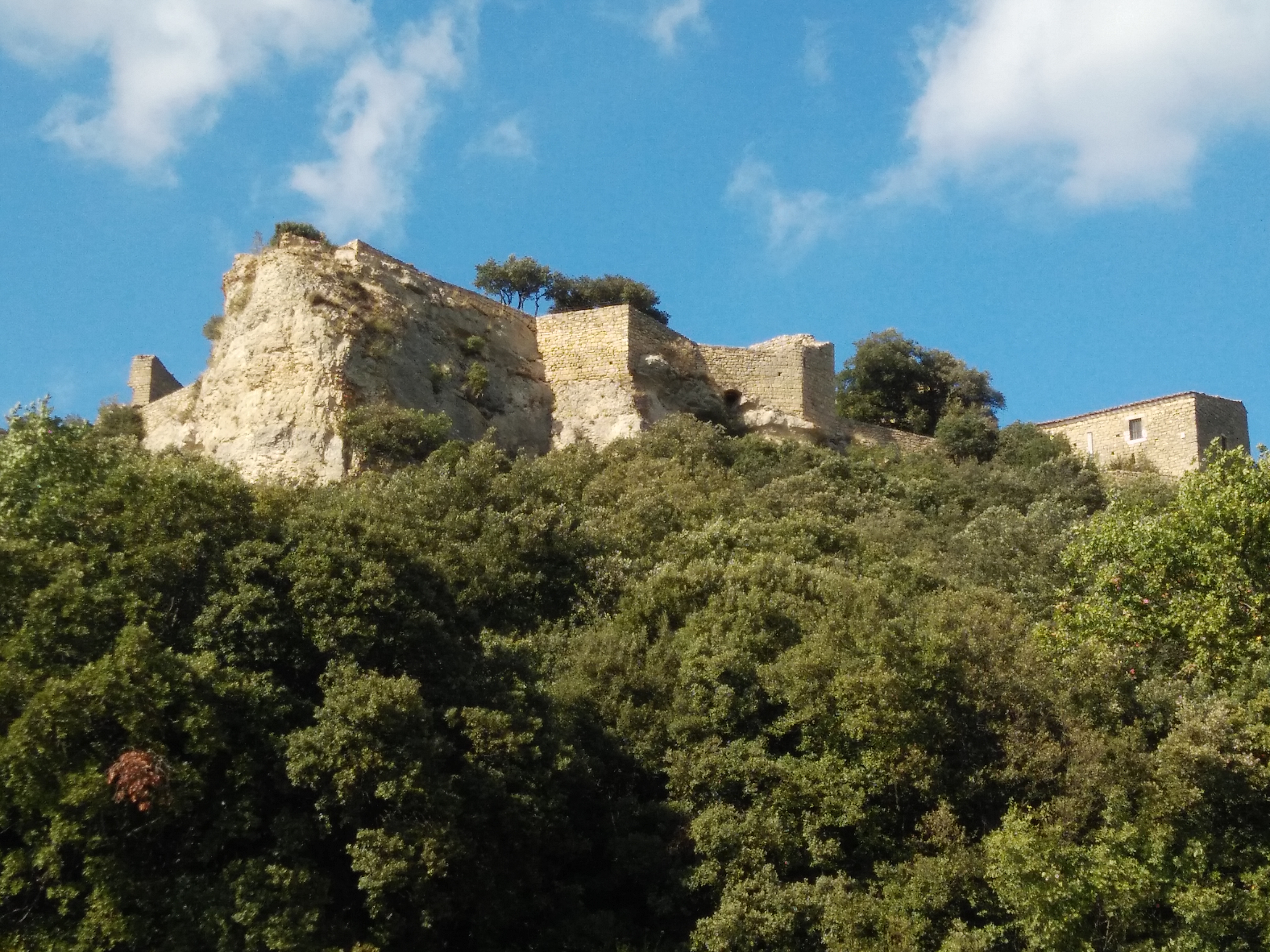 Photo n° 1 de l'avis de donsie. fait le 23/10/2019 à 10:47