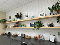 Earthling Automotive - Photo 3 - Car repair in San Francisco, CA, San Francisco