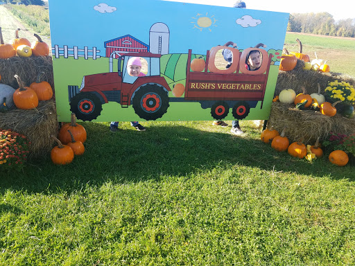 Produce Market «Rush Vegetables», reviews and photos, 2120 Eagle Harbor Waterport Rd, Albion, NY 14411, USA
