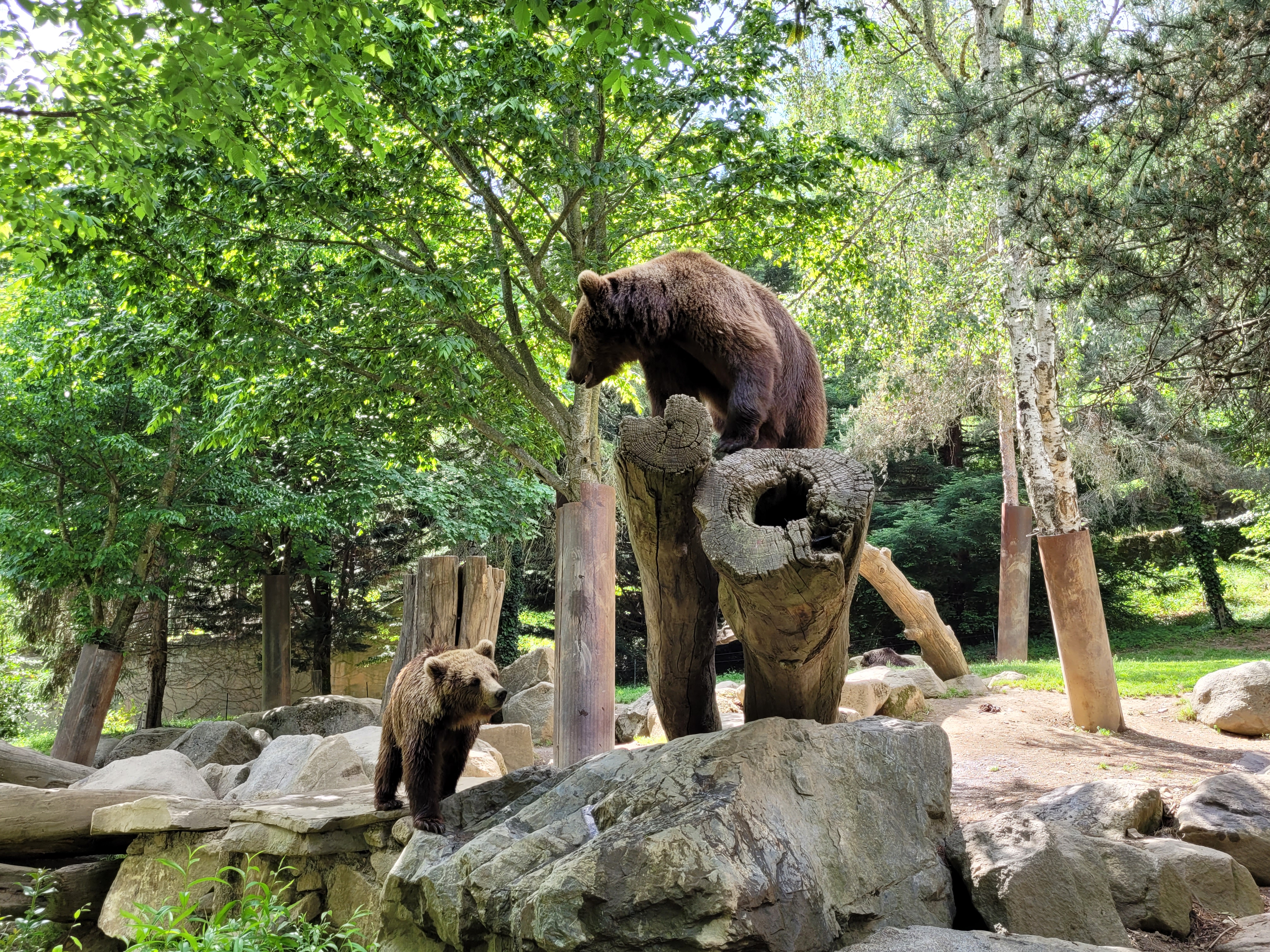 Photo n° 7 de l'avis de florian.a fait le 22/05/2022 à 17:27