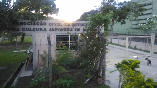 Escola Japonesa de Manaus