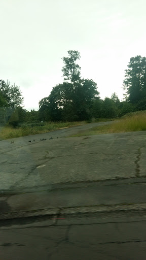 Park «Island Park», reviews and photos, 200 W B St, Springfield, OR 97477, USA