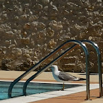 Photo n°3 de l'avis de Annalisa.e fait le 11/07/2023 à 15:31 sur le  Hotel Il Castellino Relais à Vieste