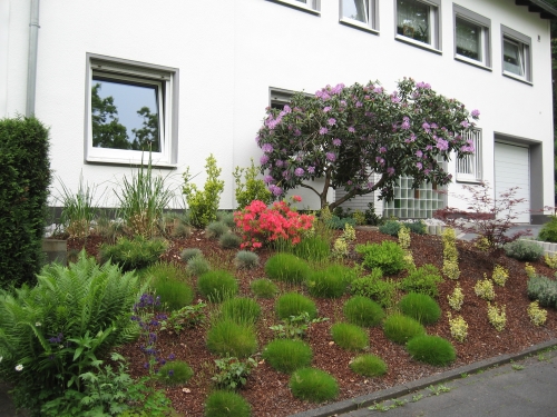 BUDAKOVA Garden & Facility Service - Gartenbauer