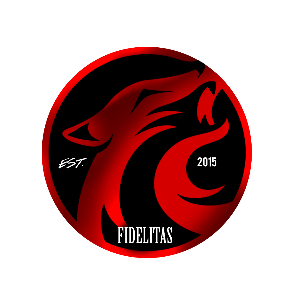 Fidelitas LLC