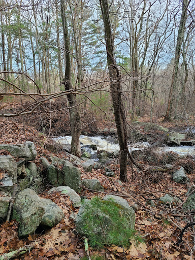 Non-Profit Organization «Museum of American Bird Art at Mass Audubon», reviews and photos, 963 Washington St, Canton, MA 02021, USA