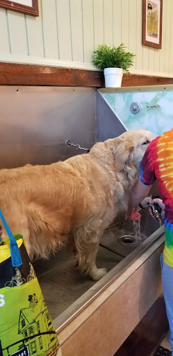 Max's Self-Serve Pet Wash And Grooming