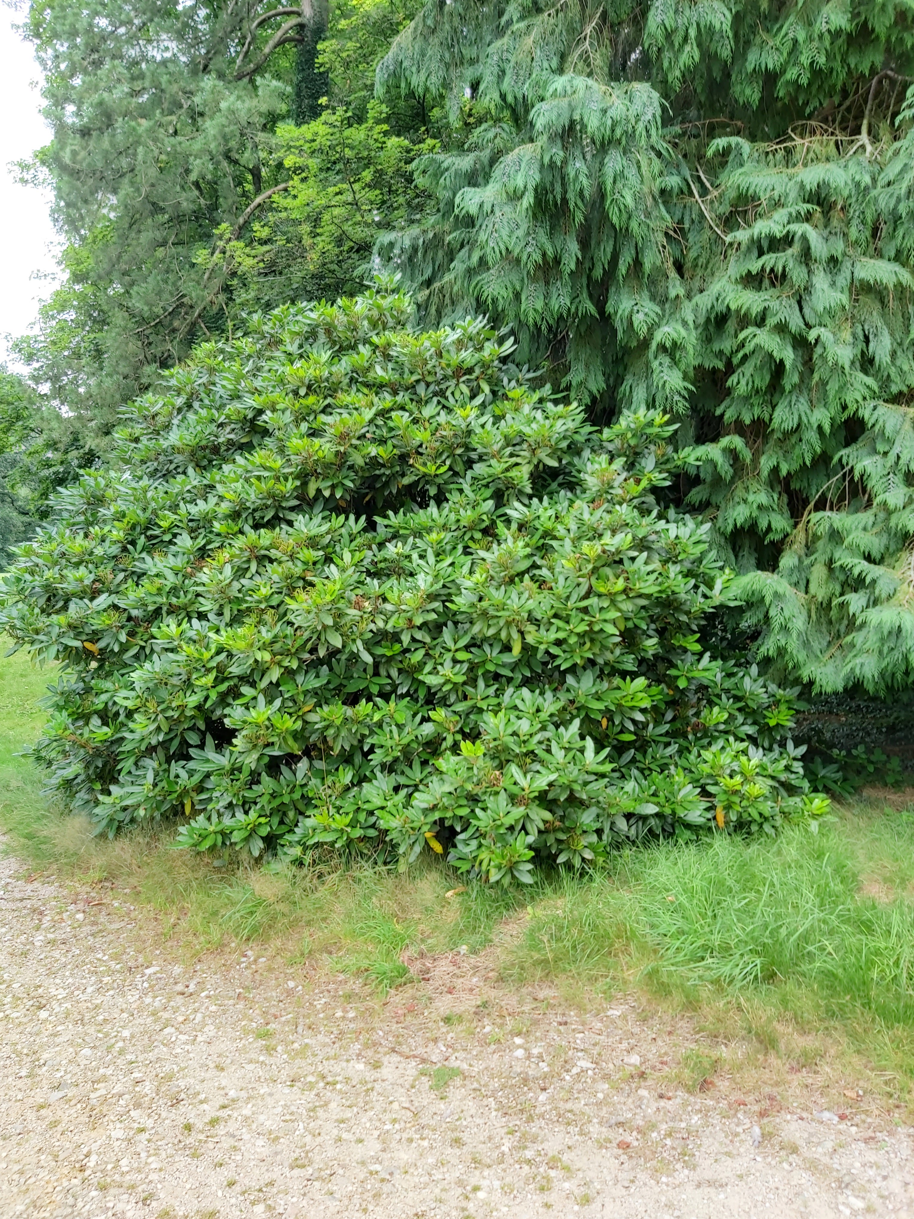 Photo n° 4 de l'avis de Denise.o fait le 16/08/2021 à 12:41