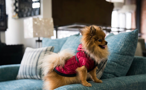 Furniture Store «Decor Furniture», reviews and photos, 1515 Commercial Way, Santa Cruz, CA 95065, USA