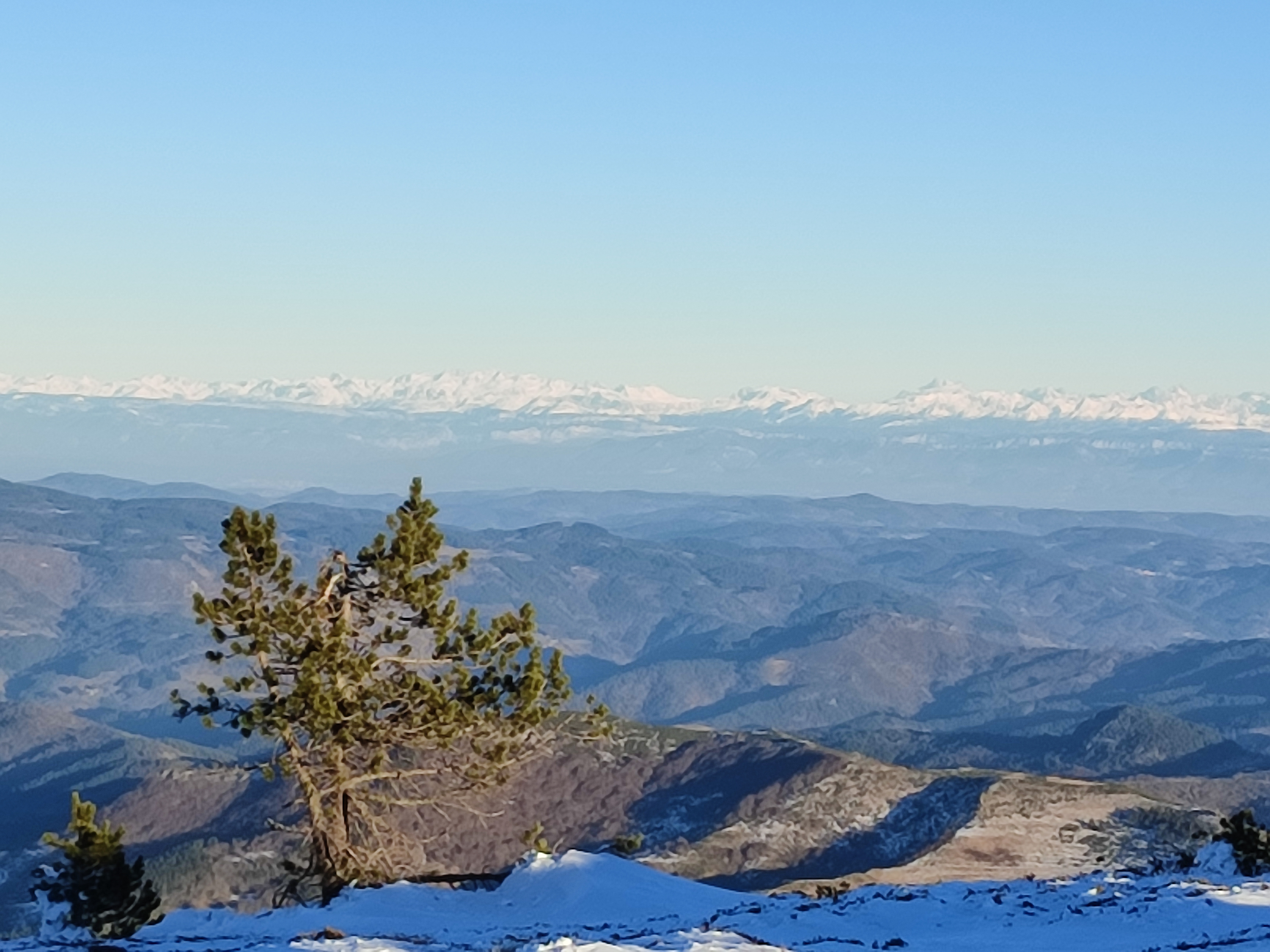 Photo n° 1 de l'avis de Francoise.O fait le 19/01/2022 à 14:39