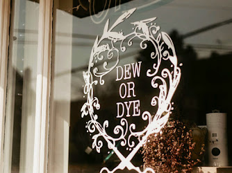 Dew or Dye Salon