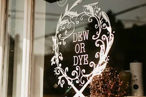 Dew or Dye Salon image
