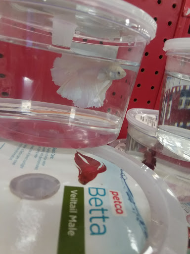 Pet Supply Store «Petco Animal Supplies», reviews and photos, 4209 Wheaton Way, Bremerton, WA 98310, USA