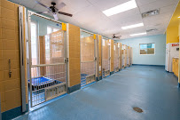 Country Inn Pet Resort & Animal Hospital - Photo 3 - Car repair in Davie, FL, Pembroke Pines