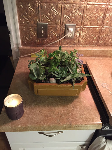 Florist «The JillTed Florist», reviews and photos, 1425 S Ft Harrison Ave, Clearwater, FL 33756, USA