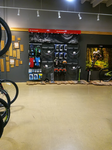 Bicycle Store «Jax Bicycle Center», reviews and photos, 2520 E Chapman Ave, Fullerton, CA 92831, USA