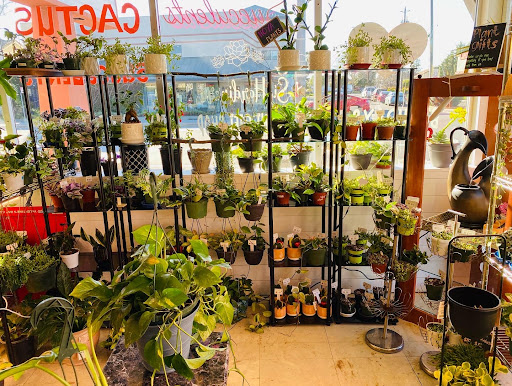 Si Hardinera Plant Shop