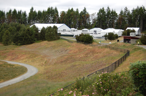 Public Golf Course «Chambers Bay», reviews and photos, 6320 Grandview Dr W, University Place, WA 98467, USA