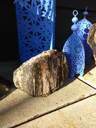 Florist «Bloom by Anuschka», reviews and photos, 2353 E 3rd Ave, Denver, CO 80206, USA