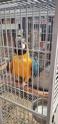 Pet Store «El Palomar Pet Shop Inc», reviews and photos, 4712 W Flagler St, Coral Gables, FL 33134, USA