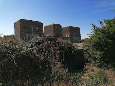 Blockhaus Stützpunkt 262 à Équihen-Plage