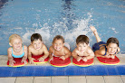 Adams Aquatics - Swimming Lessons