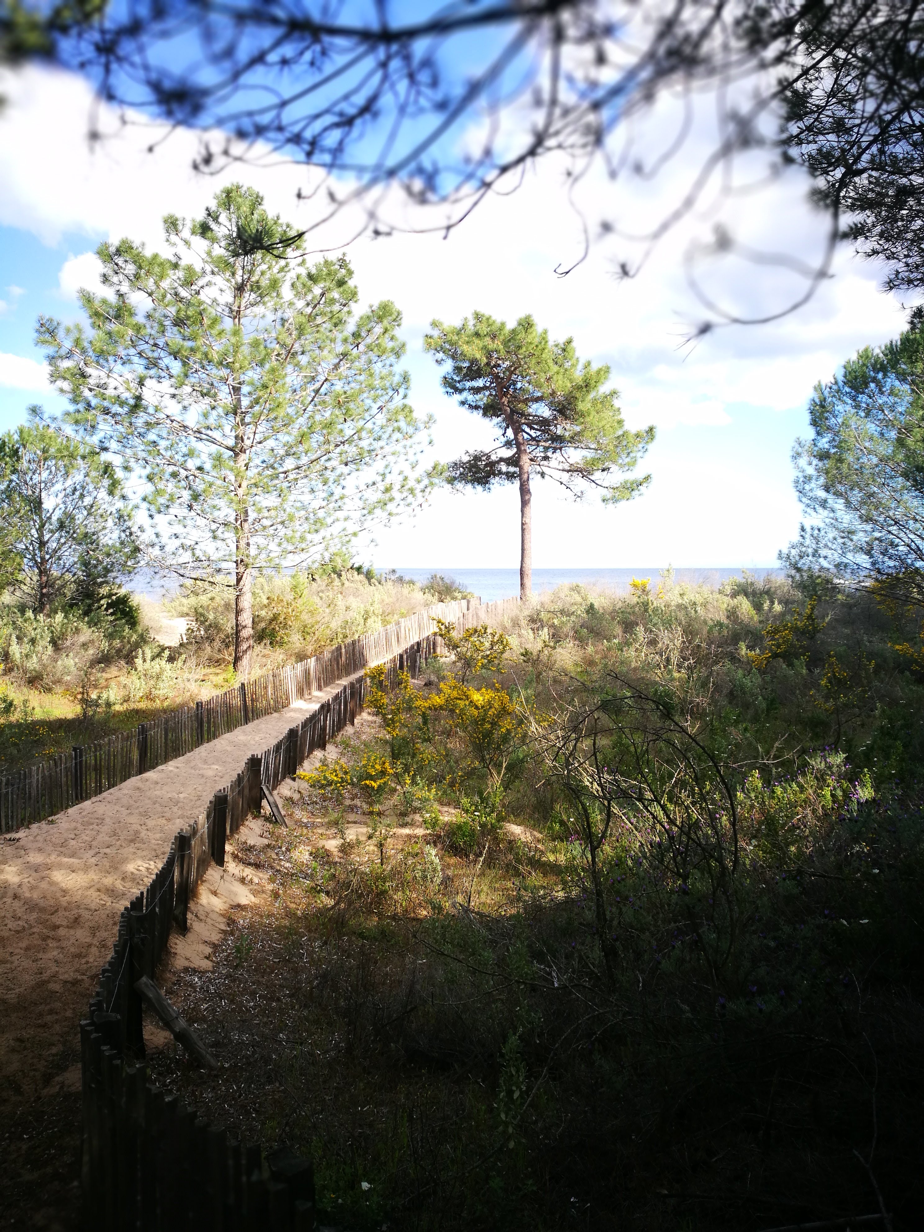 Photo n° 3 de l'avis de Savary.m fait le 11/04/2018 à 16:29