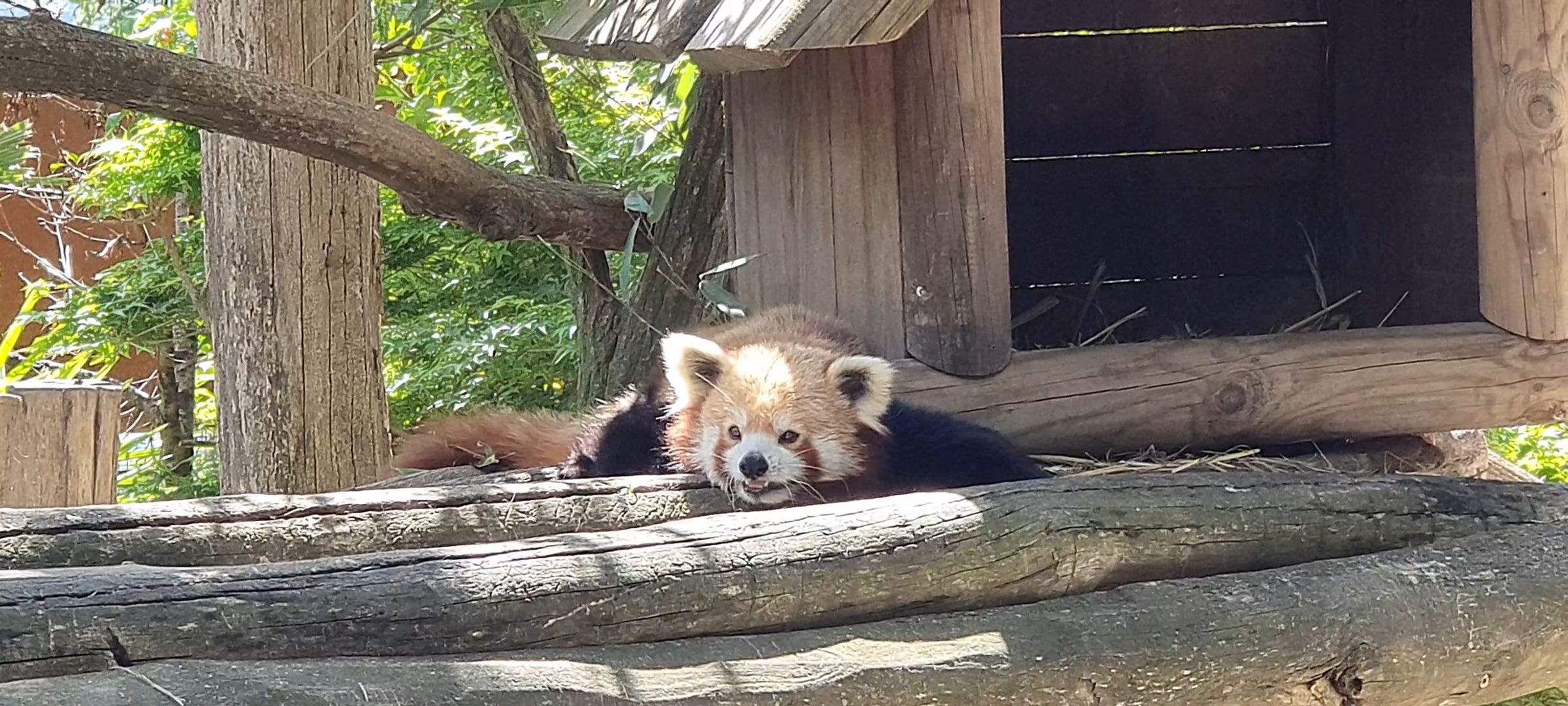 Photo n° 1 de l'avis de Laetitia. fait le 06/05/2023 à 18:10