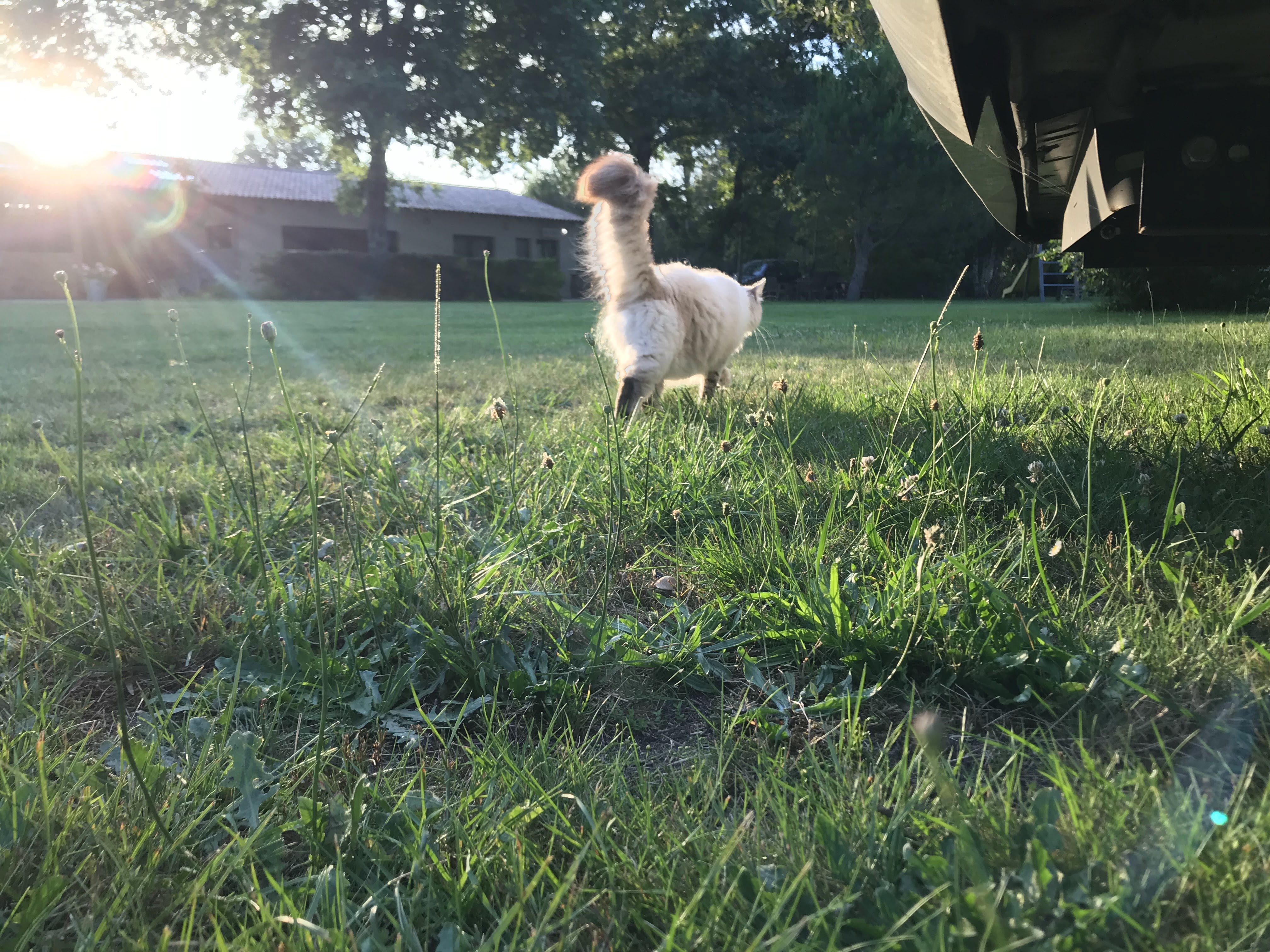 Photo n° 1 de l'avis de Tomas.u fait le 11/07/2019 à 08:26