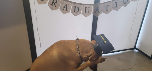 Pet Supply Store «Unleashed by Petco», reviews and photos, 600 Redondo Ave, Long Beach, CA 90814, USA