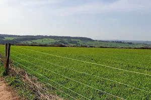 Bargate Road Park image