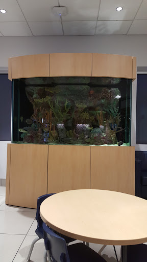 Chevrolet Dealer «Gunn Chevrolet», reviews and photos, 16550 I-35, Selma, TX 78154, USA